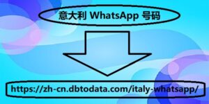 意大利 WhatsApp 号码