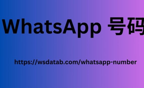 WhatsApp 号码