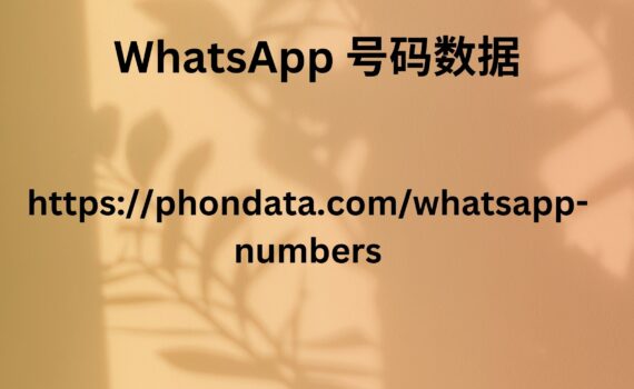 WhatsApp 号码数据