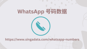 WhatsApp 号码数据