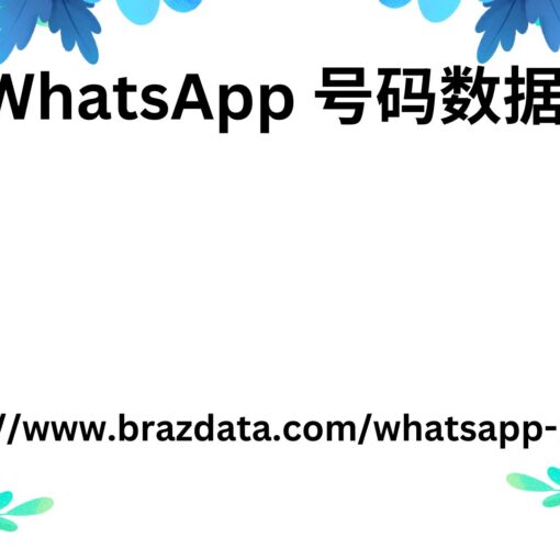 WhatsApp 号码数据