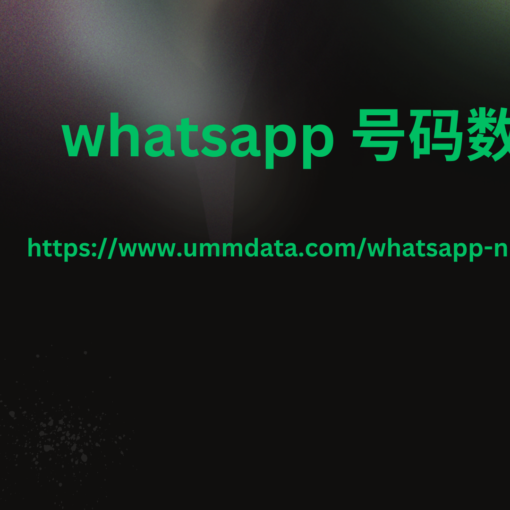 WhatsApp 号码数据3